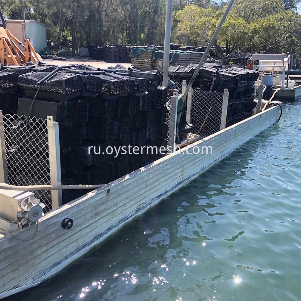 Oyster Cradle Rolling Culture Usage (1)